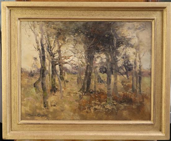 William Alfred Gibson (1866-1931) Study of Birch trees 10.5 x 13.5in.